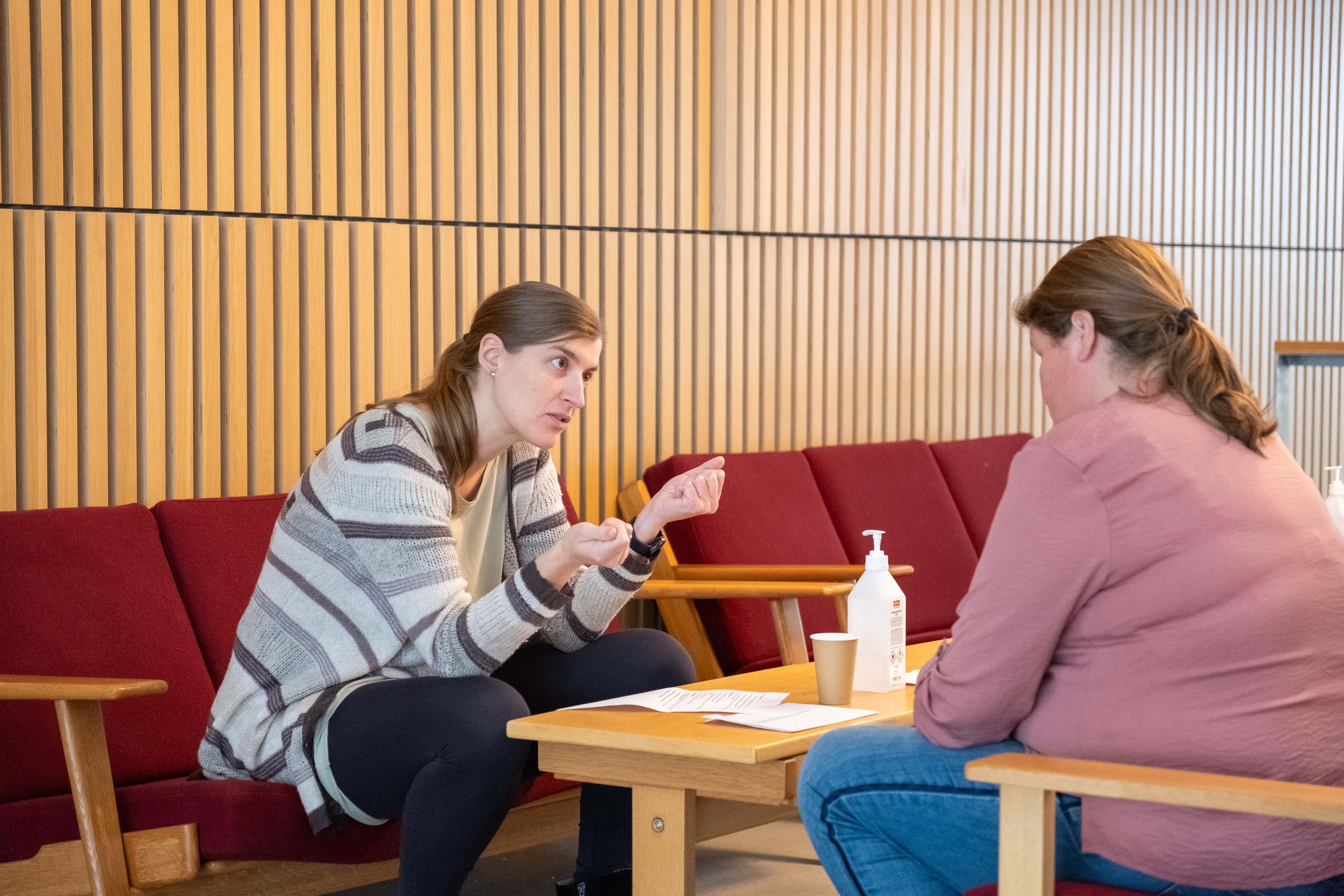 Dansk som andetsprog F/I, alment niveau, SOSU-forløb